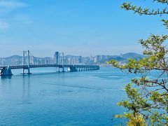 -星海湾跨海大桥