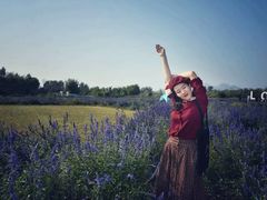 -北京东方普罗旺斯薰衣草庄园