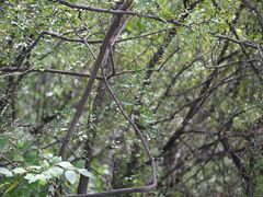 -北京十三陵国家森林公园蟒山景区