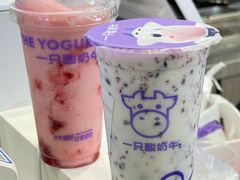 -一只酸奶牛(春熙路店)
