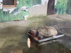 -上方山森林动物世界