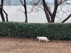 -云龙湖旅游景区