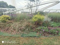 -紫荆广场·花漫里