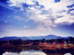 -天适樱花悠乐园