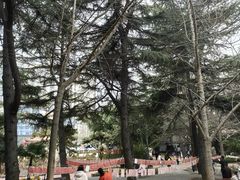 -西苑公园