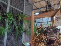 -肴约·花园式餐厅(湖里店)