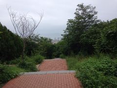 iphone_upload_pic-西尖山公园