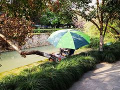 -运河游船(武林门码头)