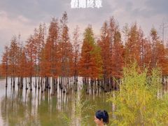 -白鹭湾湿地公园