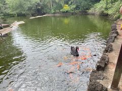 -海南热带野生动植物园