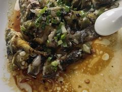 豉汁蒸黄骨鱼-八仔大富楼·河鲜(西江店)