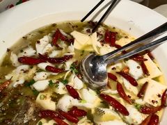 -九毛九西北菜(百信广场店)