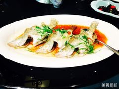 -十八棵（老龙井）御茶园(老龙井店)