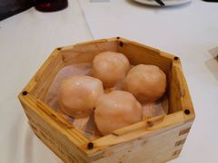 龙庭水晶虾饺皇-龙庭华宴·粤菜·早茶