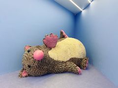 -上海宝龙美术馆