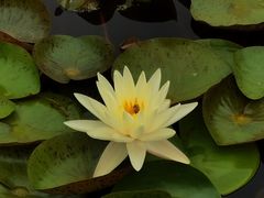 -北京植物园南门售票处