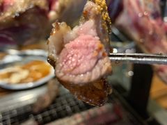 -柿子树炭烤羊腿(金台路店)