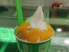 -Salud撒露欧洲冻酸奶(五道口购物中心店)
