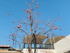 -素心小筑(后沙裕镇店)