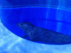 -上海海昌海洋公园-冰山北极馆