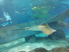 -福州罗源湾海洋世界旅游区