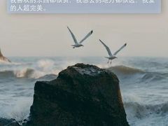 -木王宴语·野生鲜菌火锅(玉河店)