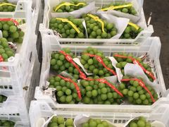 -西郊国际农产品交易中心
