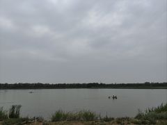 -西青郊野公园