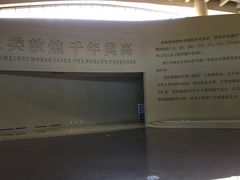 入门大厅-敦煌莫高窟数字展示中心