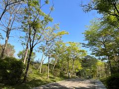 -聚龙山公园