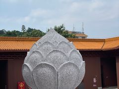 -深圳仙湖植物园