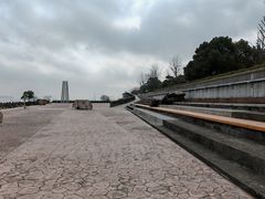 -上海滨江森林公园