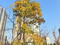-两江幸福广场