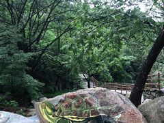 -黑龙潭风景区