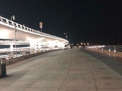 -演武大桥观景平台