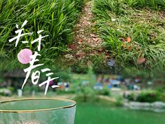 -铁山坪森林公园