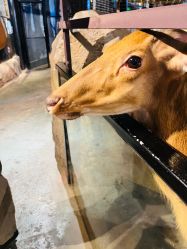 -酷嗒动物文化乐园(cutezoo西溪乐天城店)