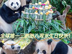 -广州长隆野生动物世界