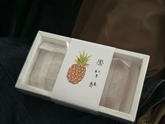 -猫里有甜