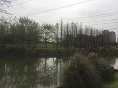 -九里河湿地公园