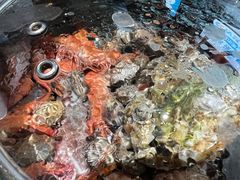 -大锅强·蒸海鲜青岛菜(吾悦广场店)