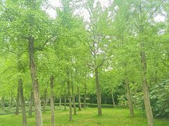 -蠡湖大桥公园