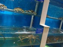 -福泉海码头(六里山店)