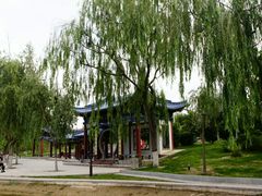 -雁滩公园