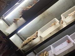 -十里铺铁板鱿鱼