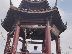 -黄埔油麻山森林公园