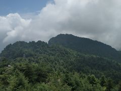 -秦岭天竺山景区