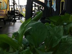 -RoMan罗马健身工作室(莘庄店)