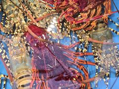 -吴记富苑(朝阳店)