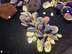 -太奥幻太奇海洋馆